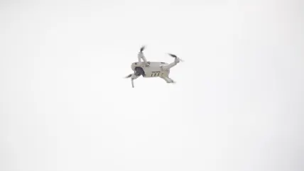 Vortex Casino Aip Soghluaiste